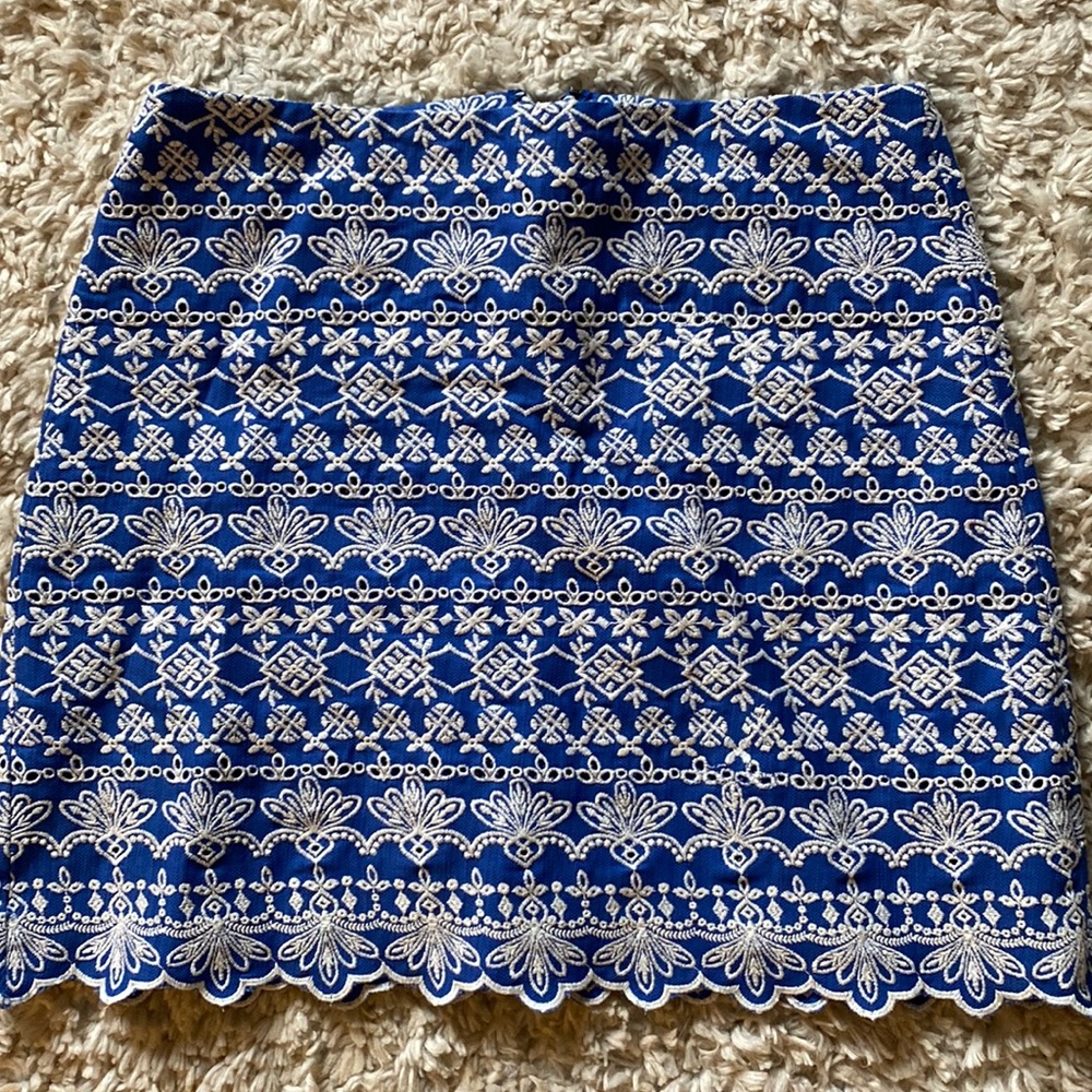 Gorgeous embroidered mini skirt